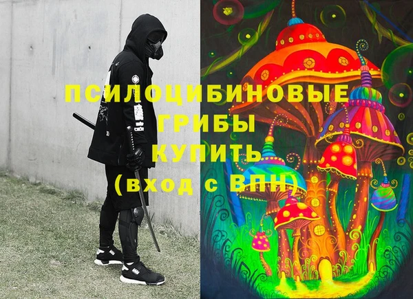 ешки Белокуриха