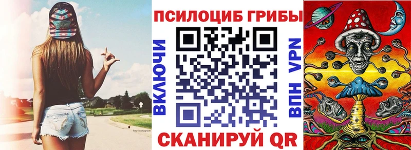 купить  цена  Шиханы  Галлюциногенные грибы мицелий 